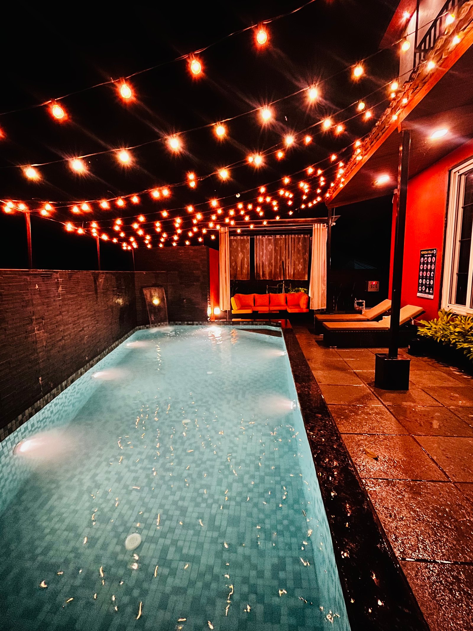 Mimosa Villa pool with string lights at night